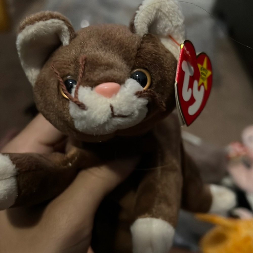 Beanie baby